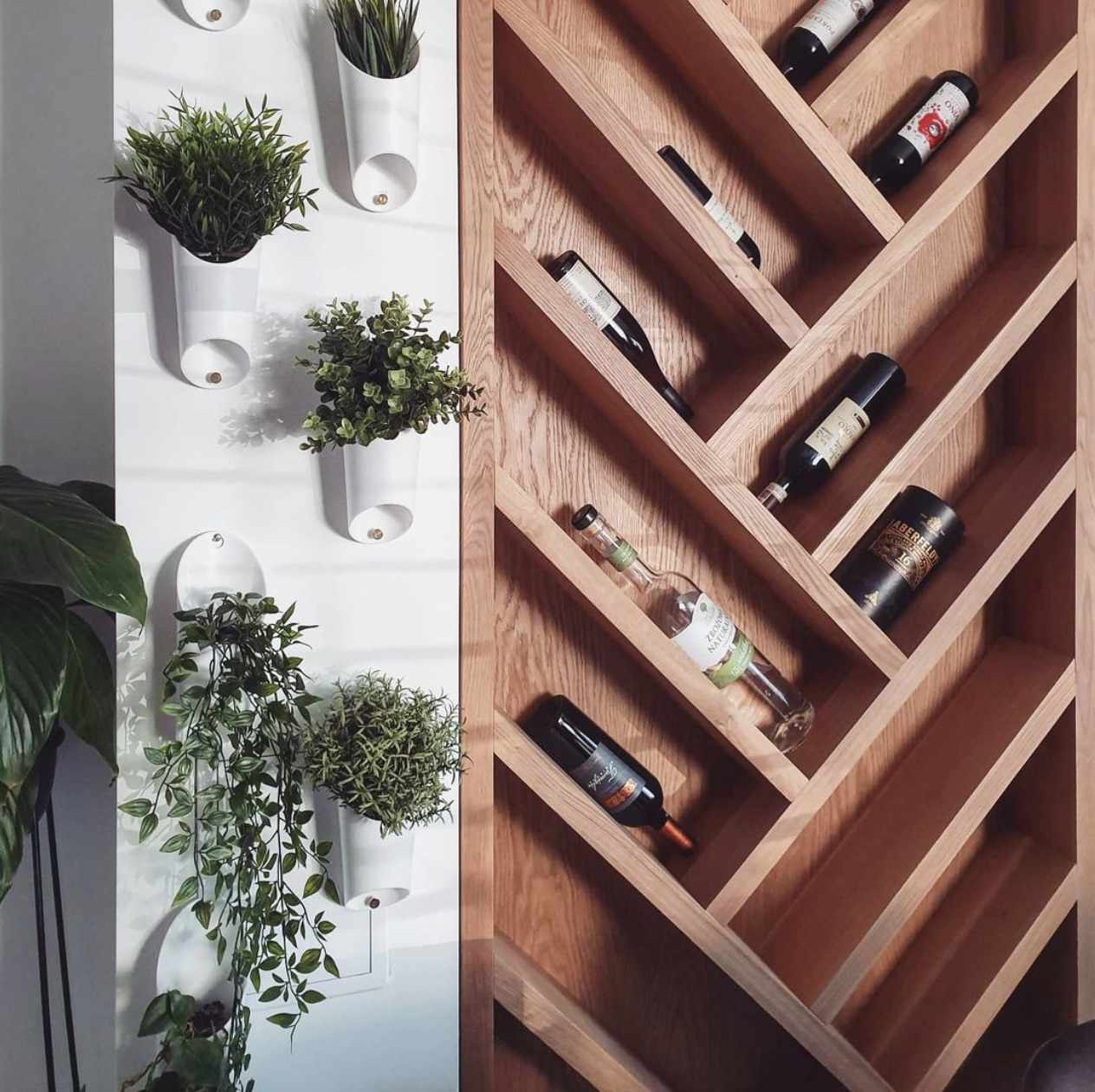 悬挂草本花园的想法和生活