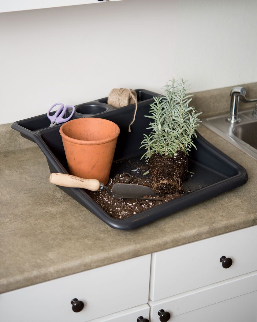 紧凑的整洁托盘