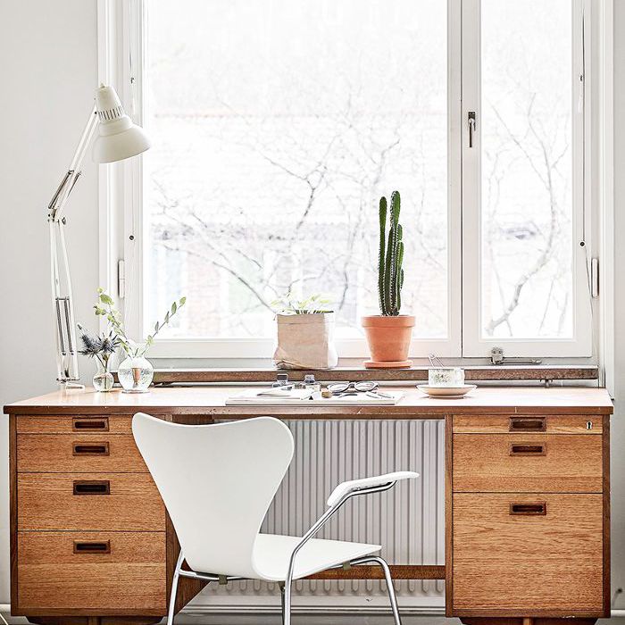 健康办公室植物