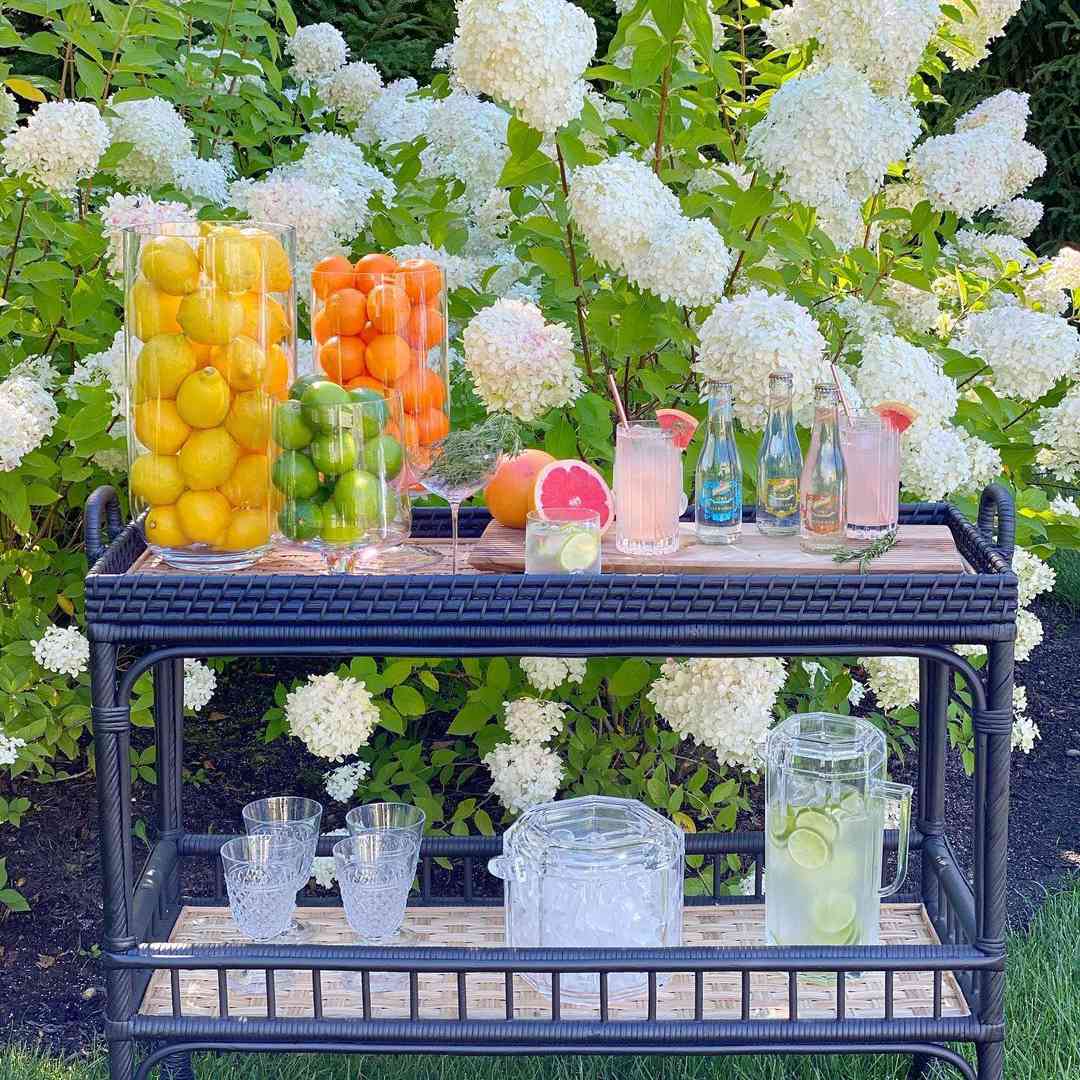 海军酒吧推车水果