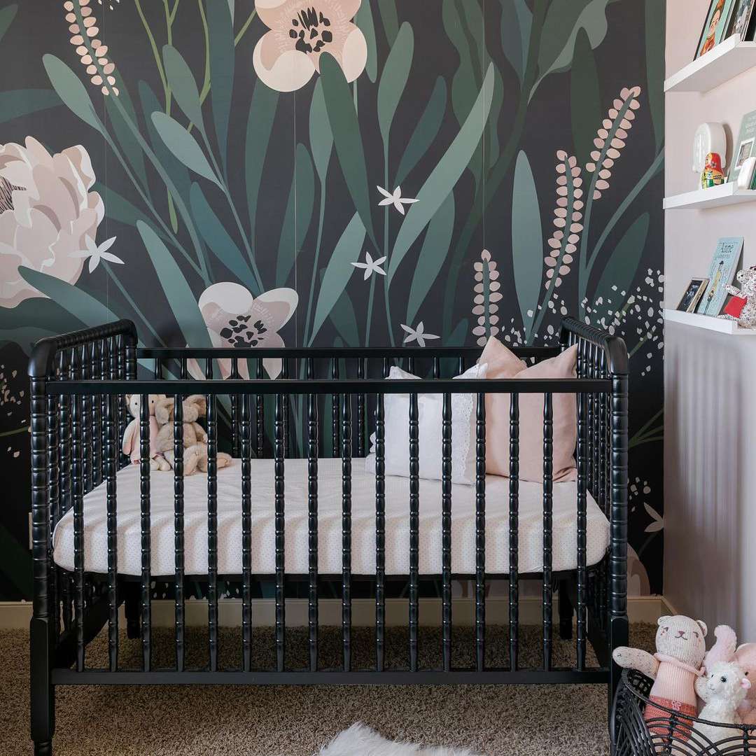 黑色、粉红色和绿色苗圃