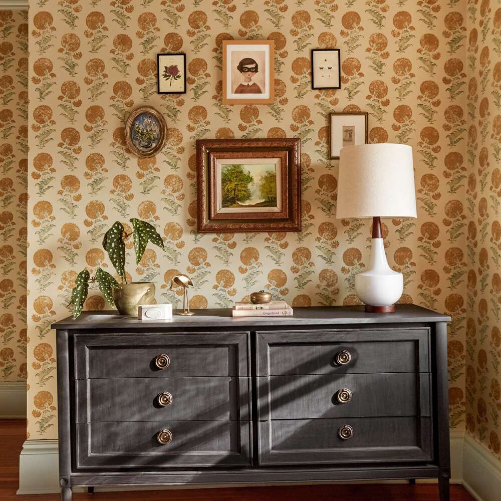 在自助餐桌上的波尔卡点秋海棠