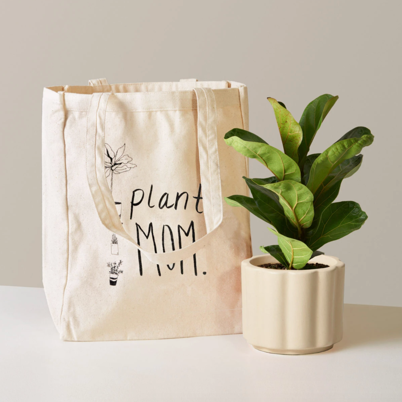 植物妈妈礼品套装