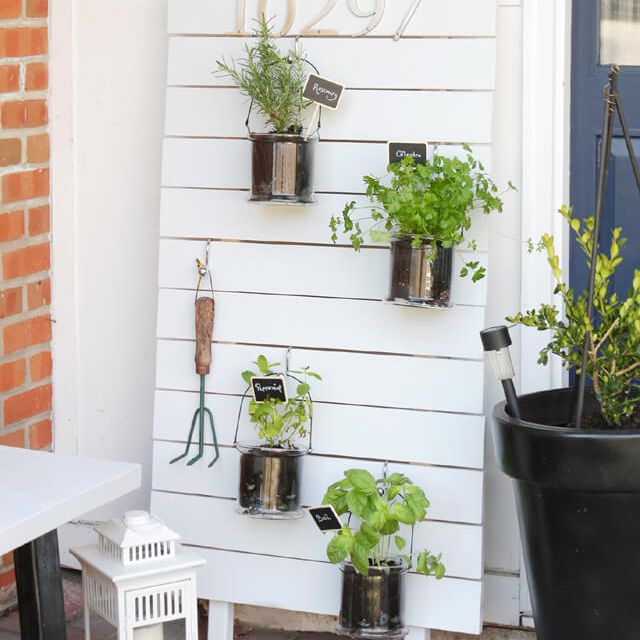 DIY立式垂悬的厨房庭院。