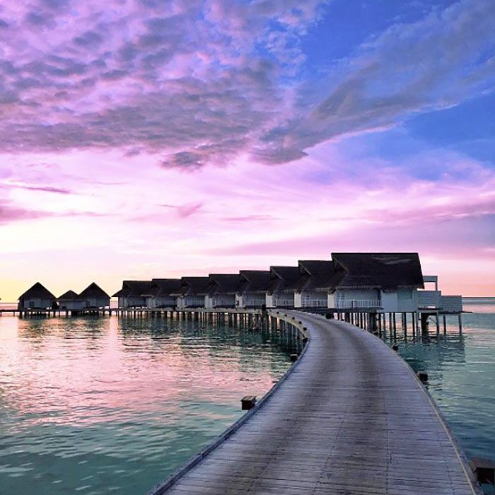 最好Instagram账户