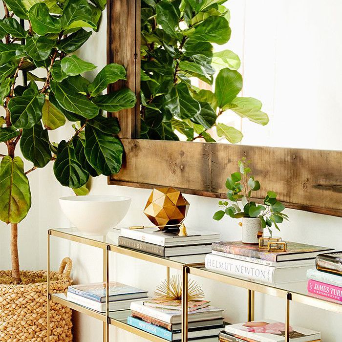 尼娜多布雷夫之家