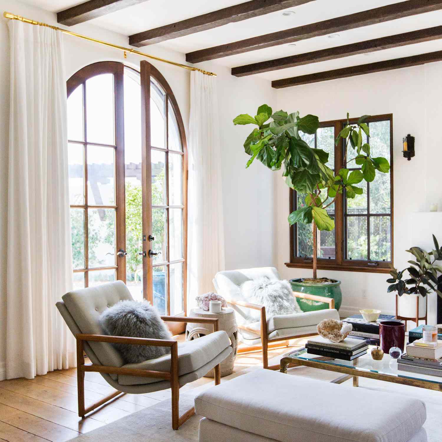 充满植物的通风客厅