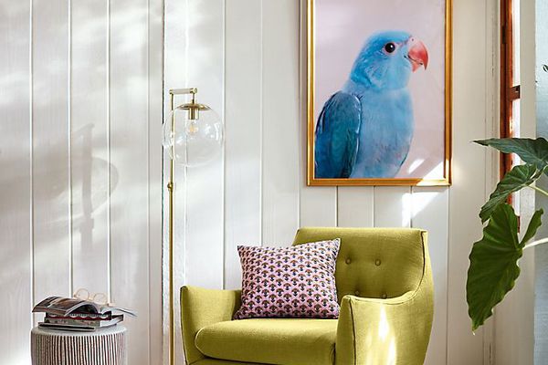 Anthropologie的簇绒地毯卡罗