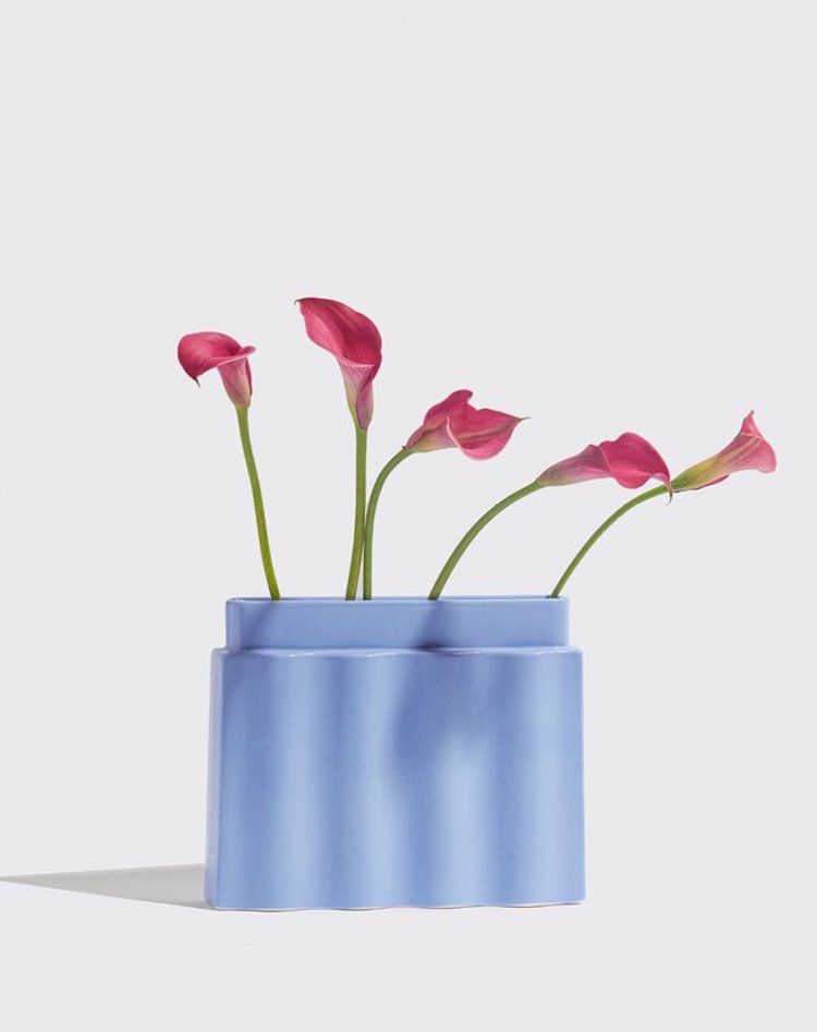 一个浅蓝色的花瓶，里面有几朵花