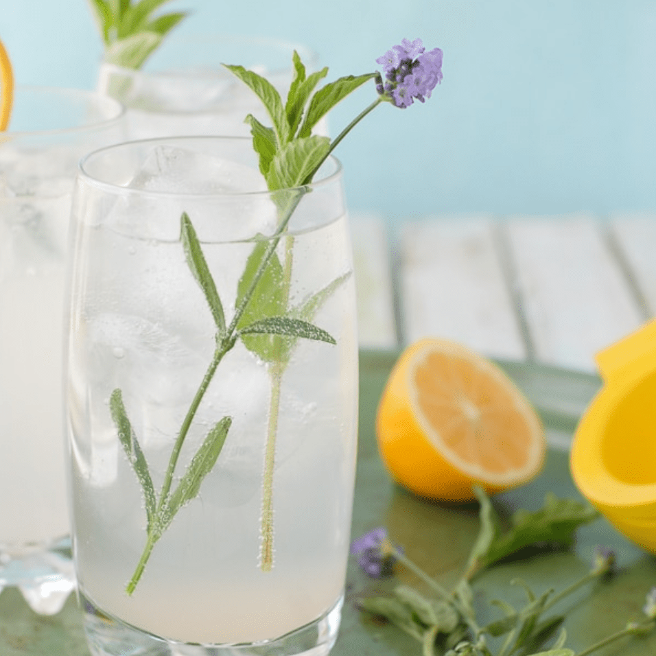 Meyer柠檬和薰衣草Mojitos