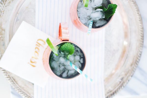 莫斯科骡子食谱