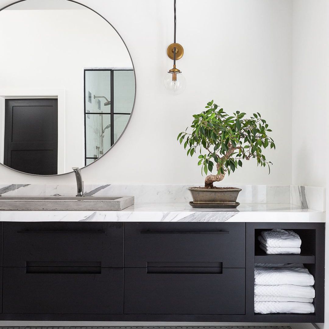 浴室柜台上的盆景