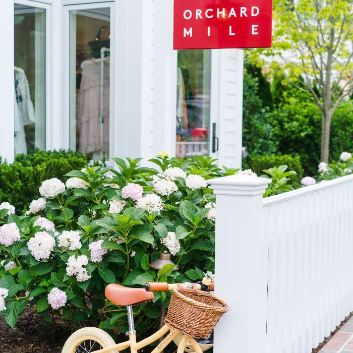 要做的事情在玛莎葡萄园，果园里“class=