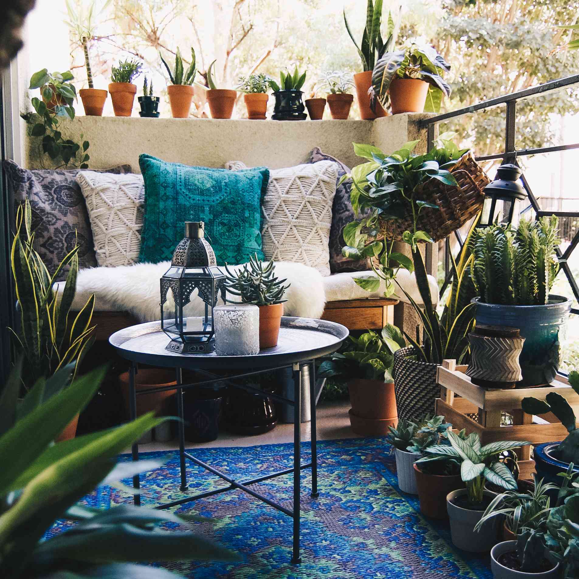阳台上装饰着蓝色的地毯，几个抱枕，还有很多植物