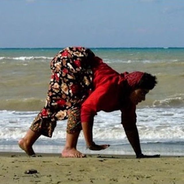 四足行走的家庭