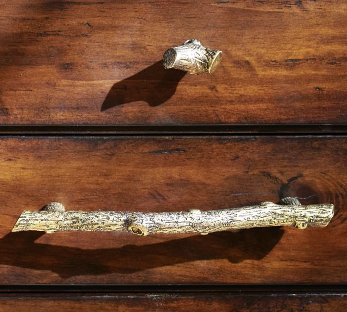 分支硬件灵感来自大自然