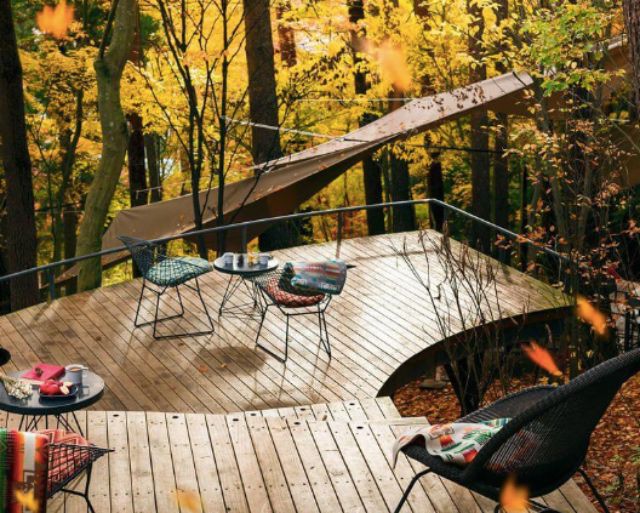 虹夕诺雅富士数码Dextox撤退