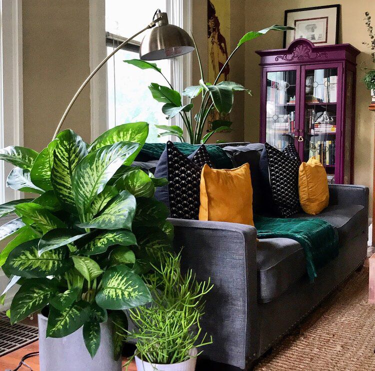 波希米亚客厅与Chambray沙发，植物和紫色armoire