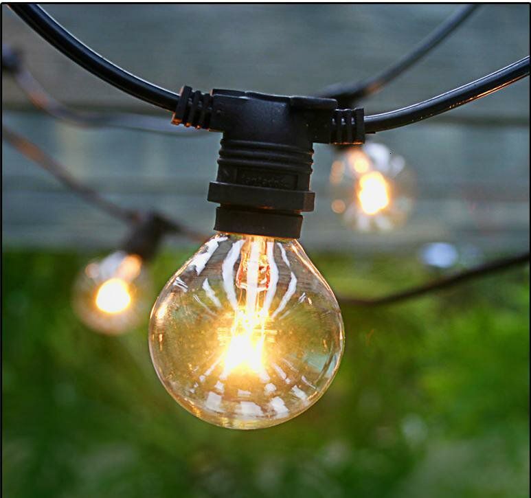 Wayfair Bulb Globe String Light