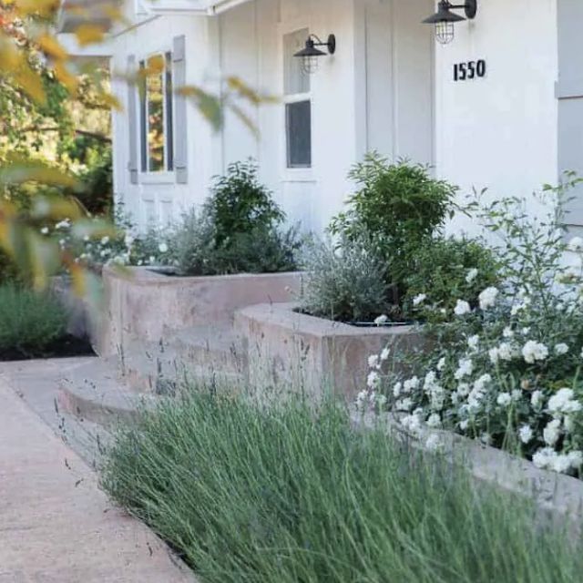 前院抬高花园床