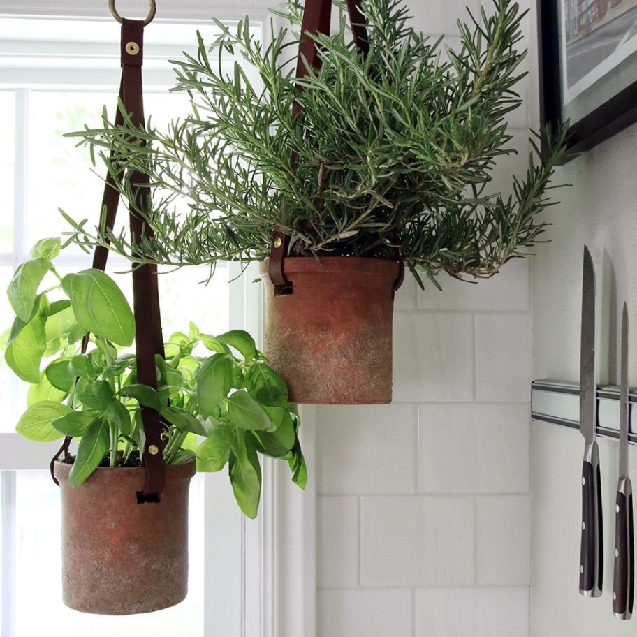 悬挂草本花园克里斯喜欢朱莉娅