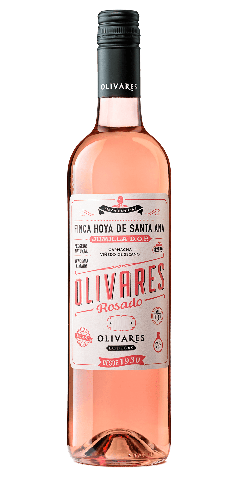 集中政策Rosado 2018