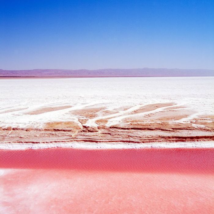 粉红色的湖泊