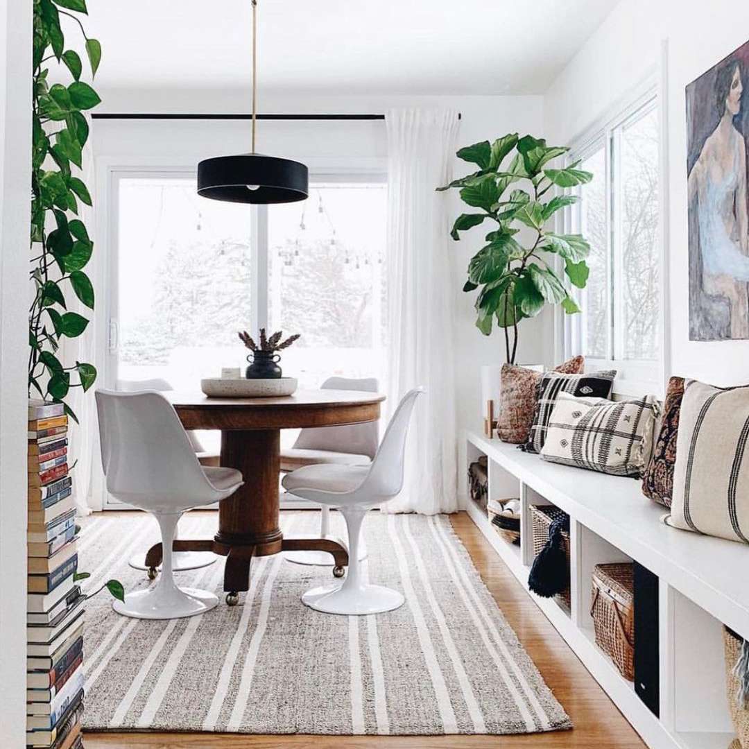 在角落里摆弄无花果叶