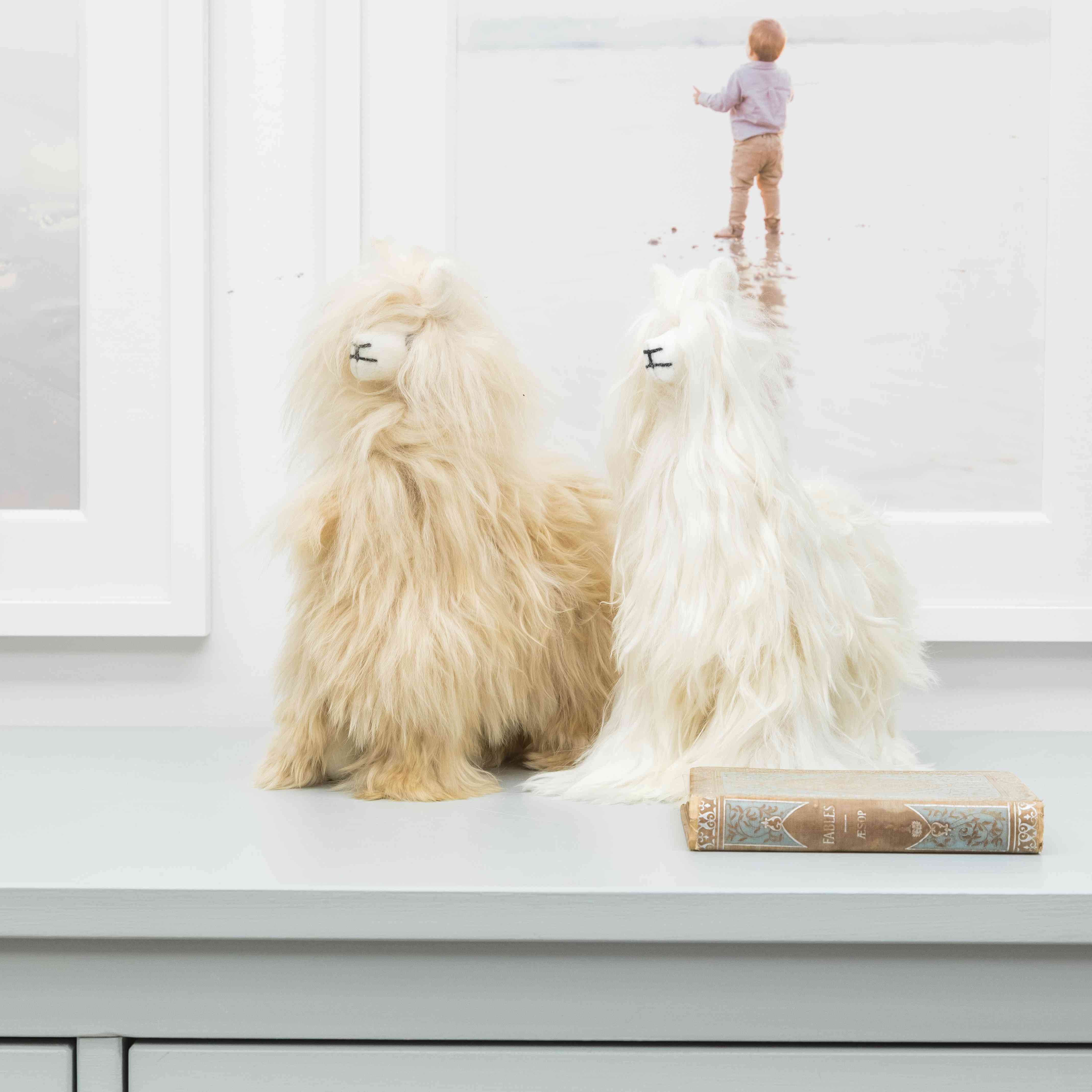 在梳妆台上的两个骆驼被塞满的动物。