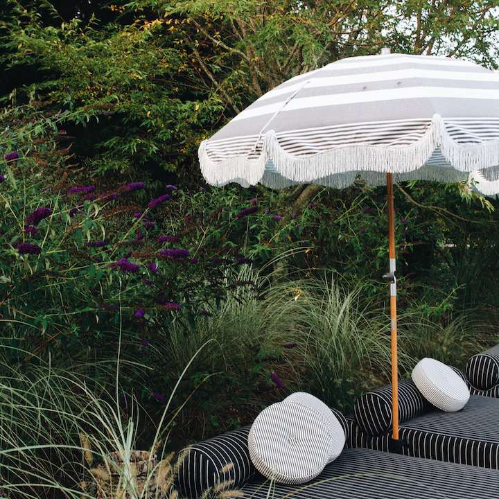 伞旁边的有机美化环境。