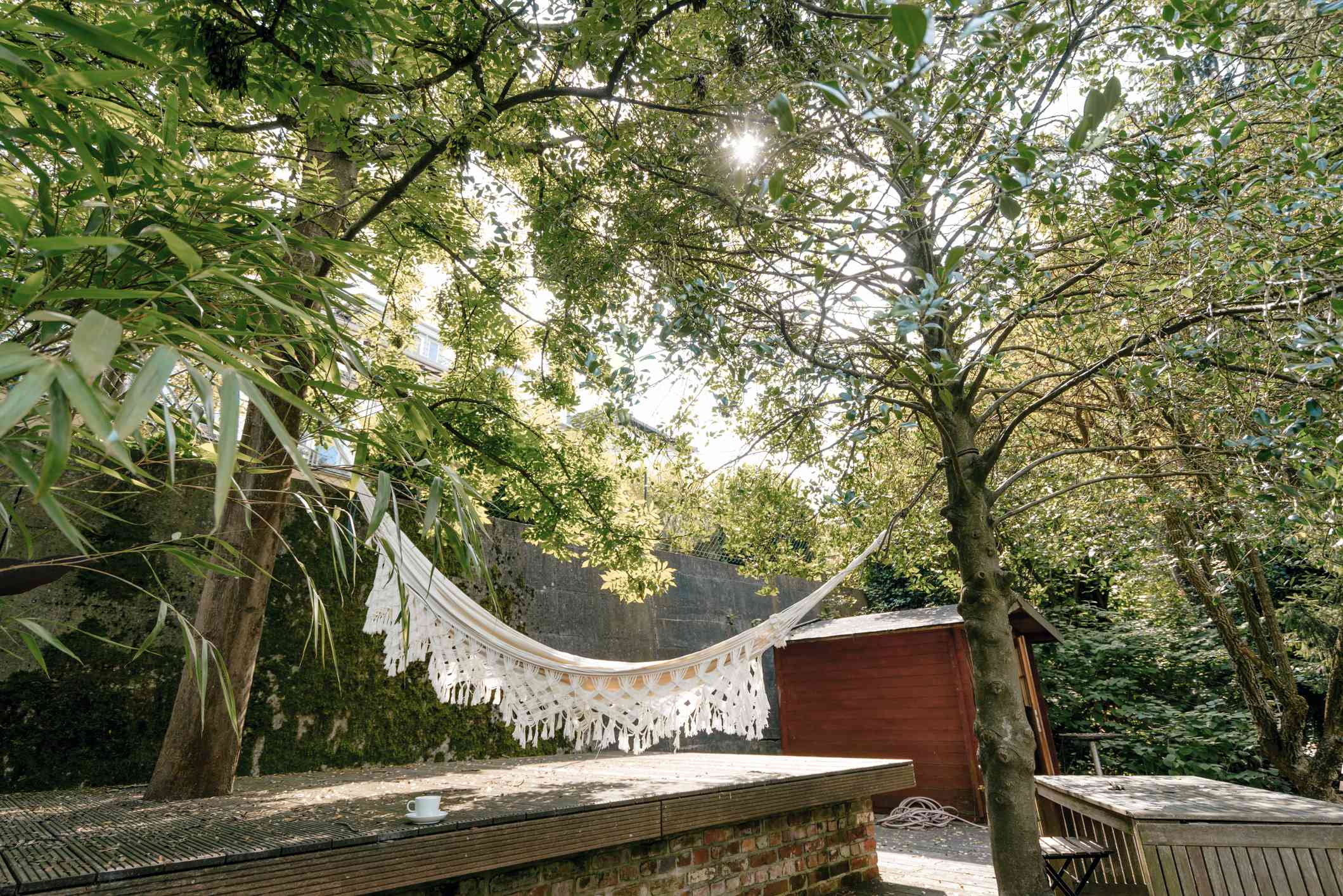 垂悬两棵树之间的吊床。