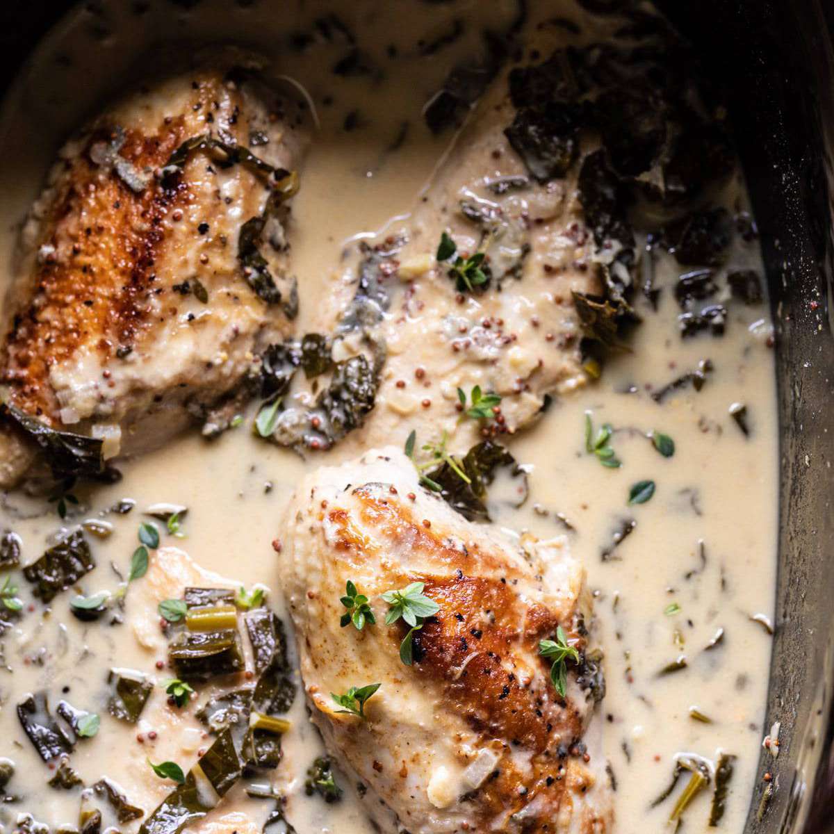 慢炖法国葡萄酒和芥末鸡