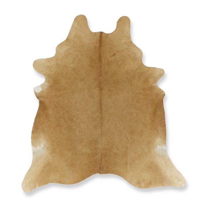 兽皮地毯上的毛