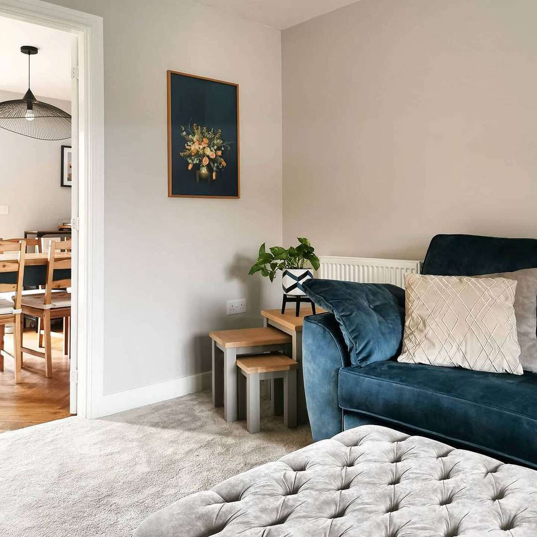 liivng房间长毛绒地毯的想法