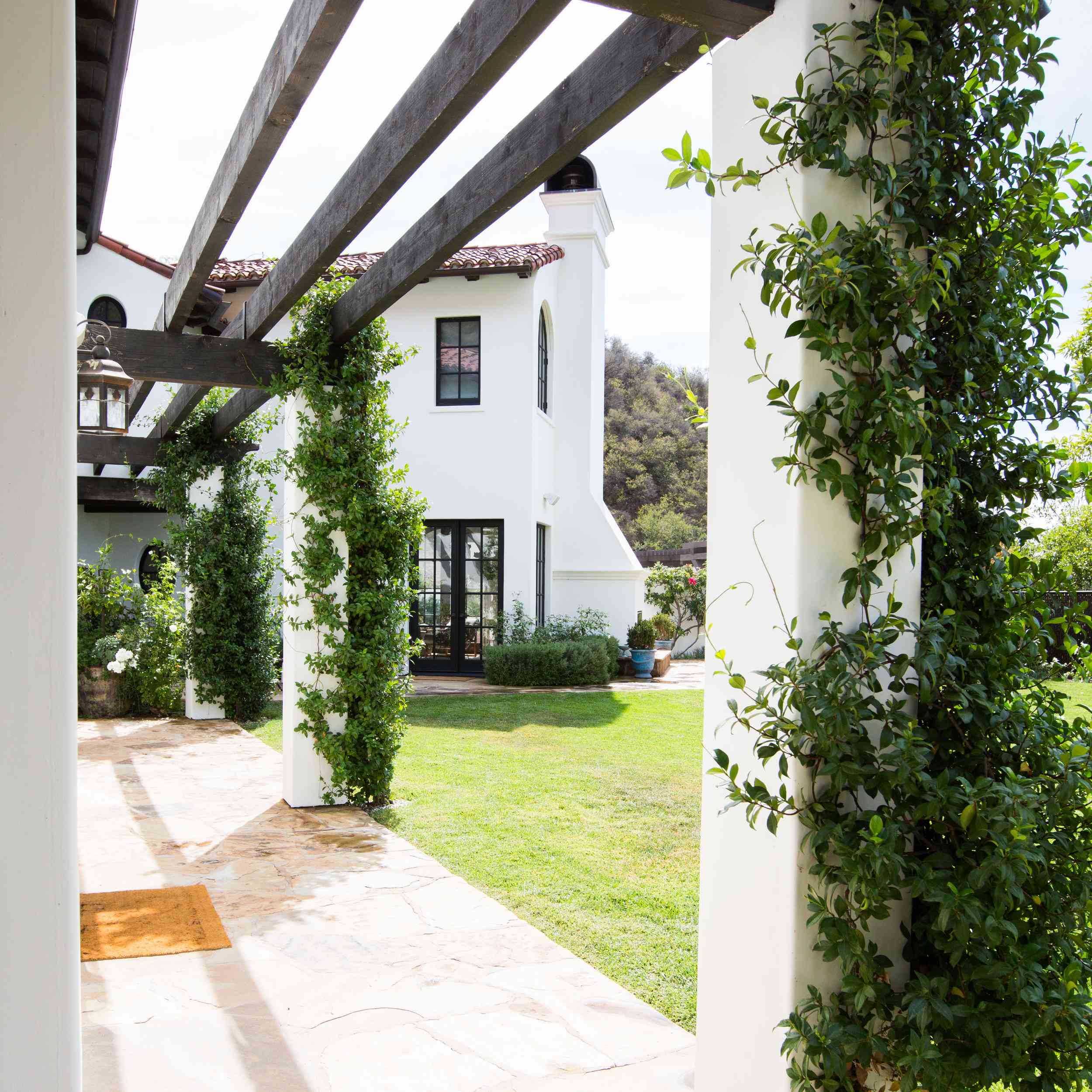 藤蔓生长在凉亭上