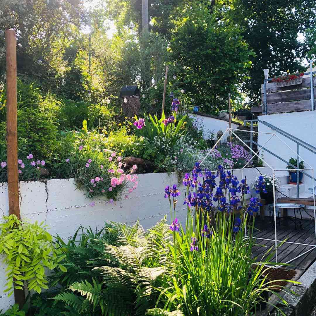 在房子后的花园