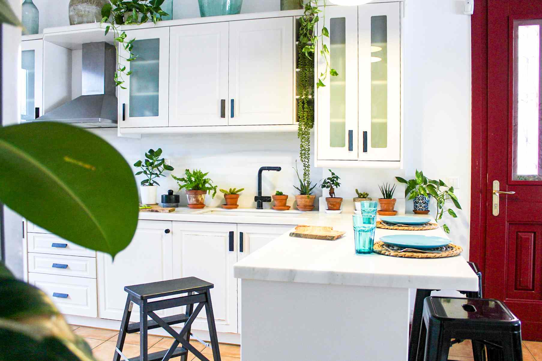 白色厨房充满植物。