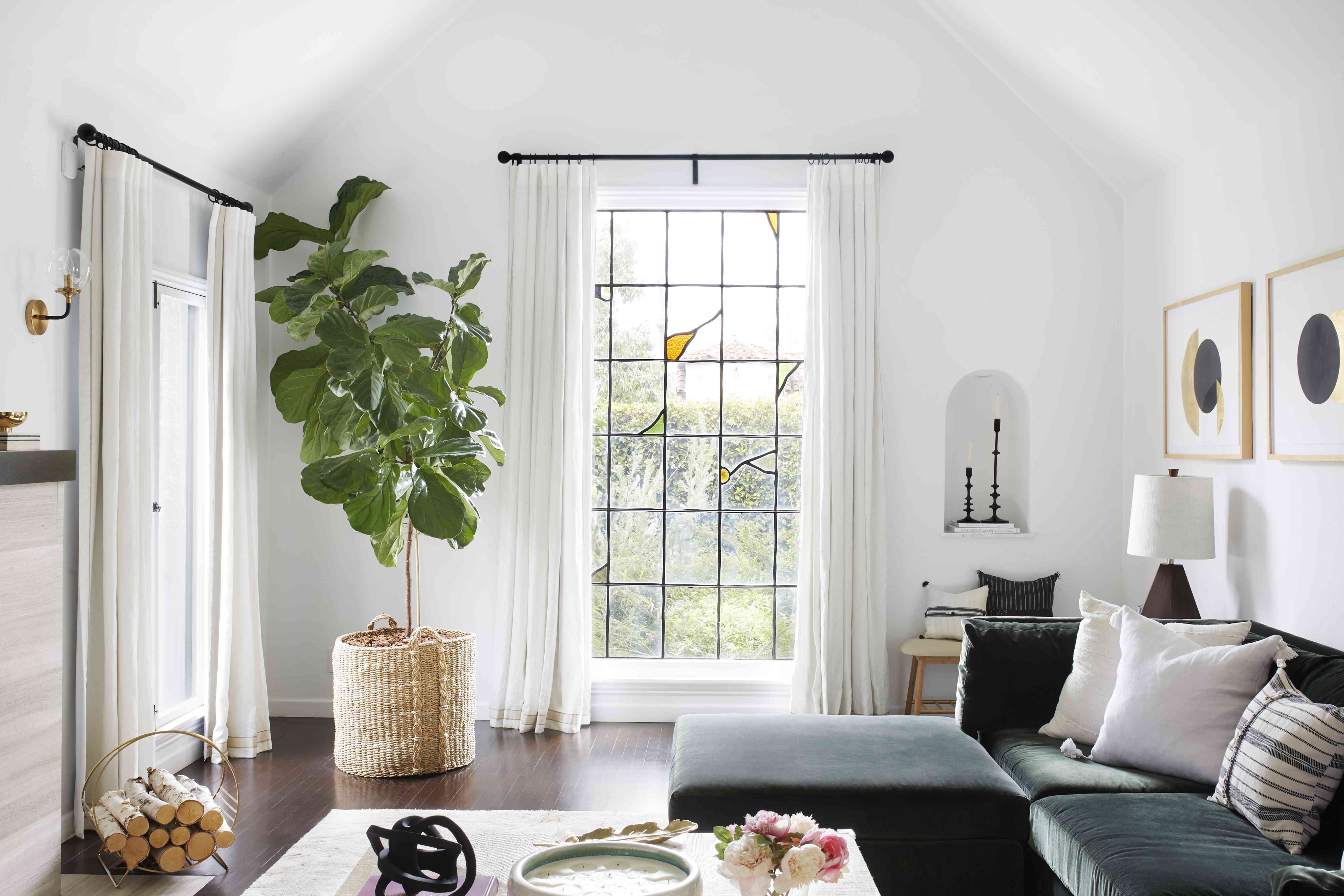 客厅有大小提琴叶图。