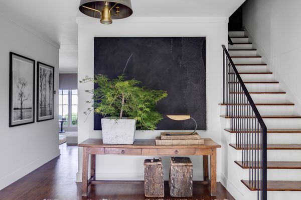 有大植物的现代传统入口。