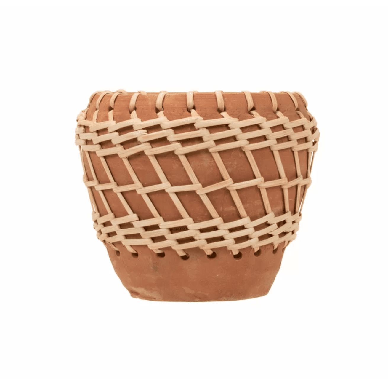 terracotta种植园主