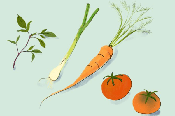 最好的植物在春天生长