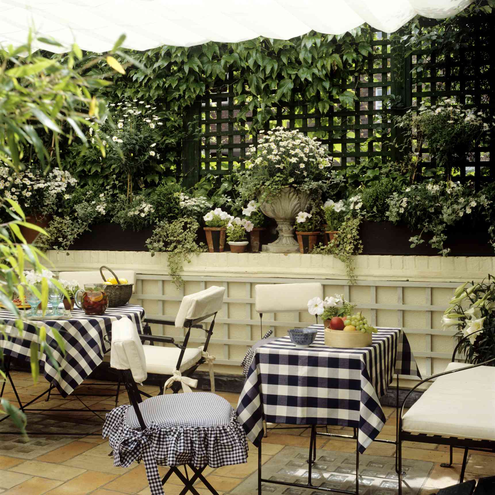 植物爬出一个格子，创造隐私墙。