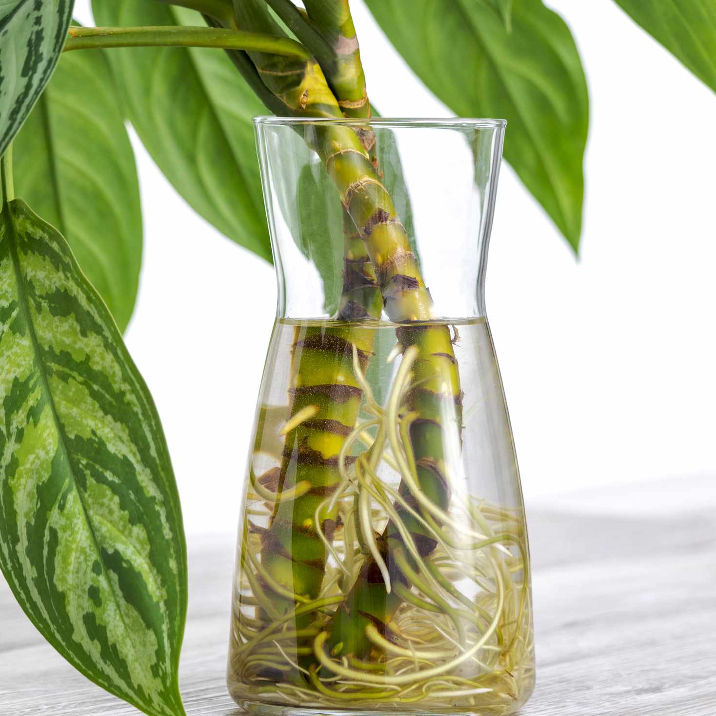 用玻璃容器包装