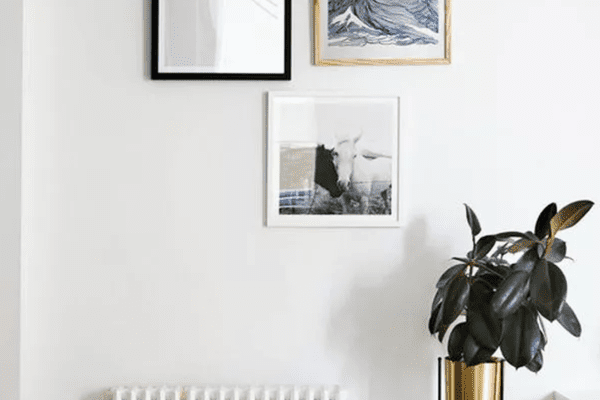 植物站放置在框架墙艺术