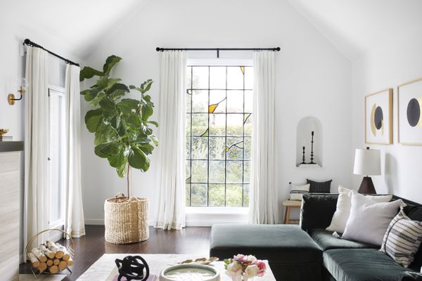 客厅有大小提琴叶图。