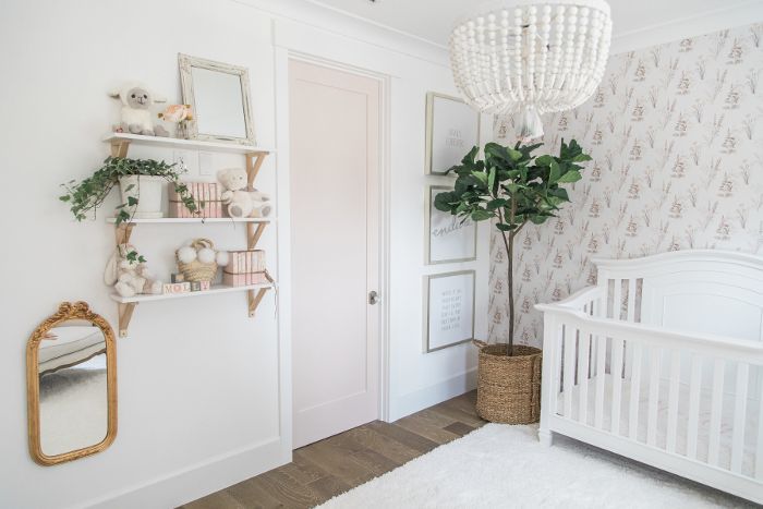 在女儿莫莉的粉红色和白色的卧室里有一棵小提琴叶无花果树