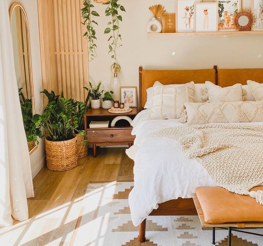 廉价植物ZZ植物