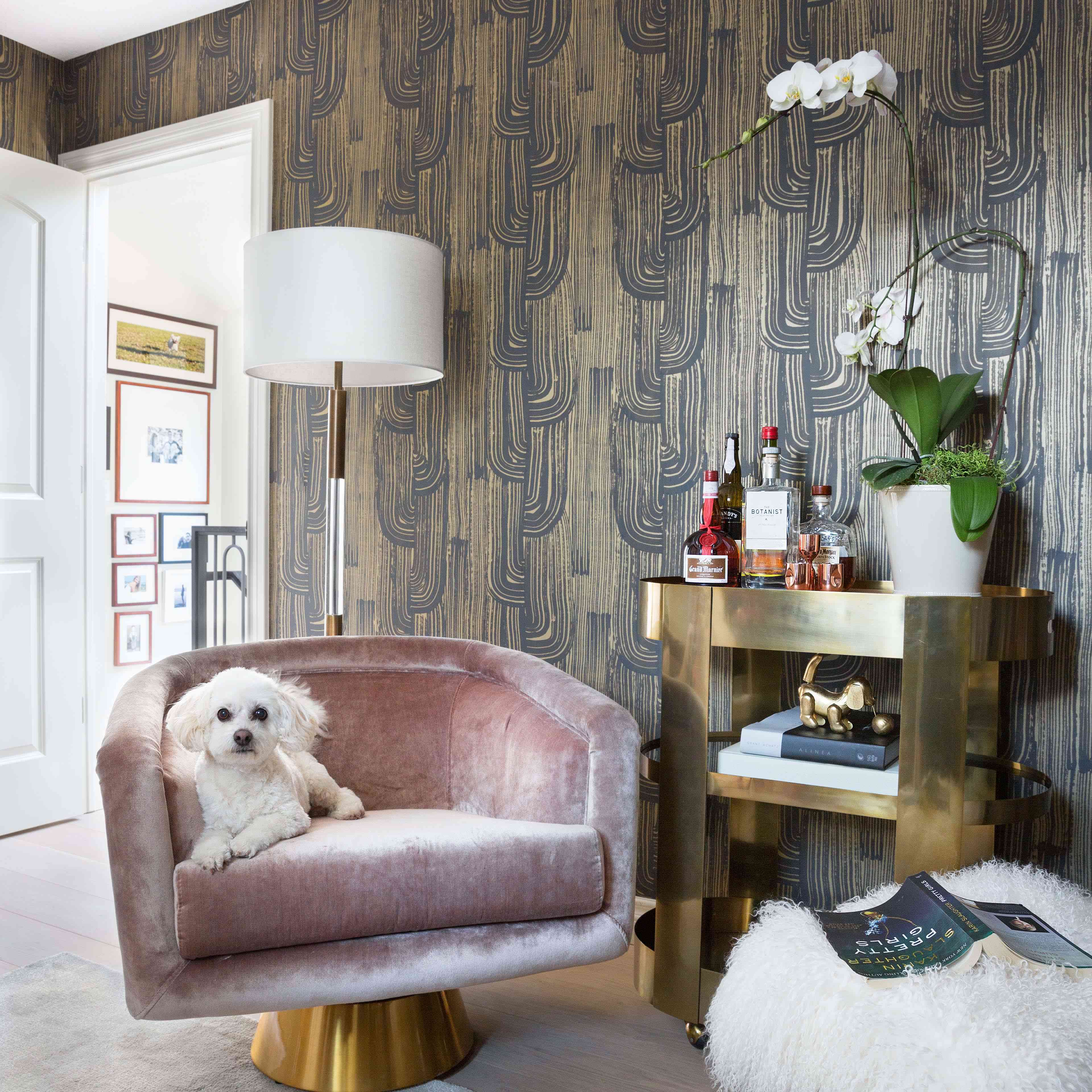 有粉红天鹅绒椅子的房间