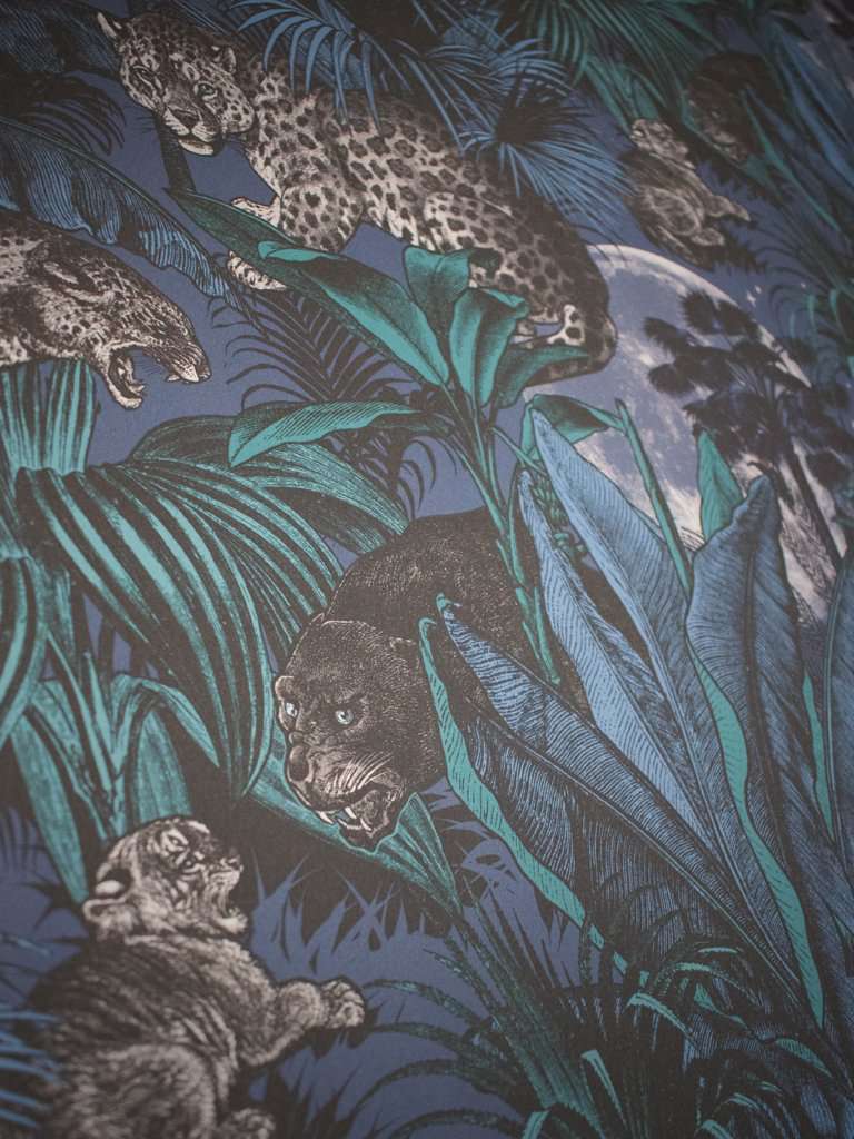 夜间Faunication壁纸