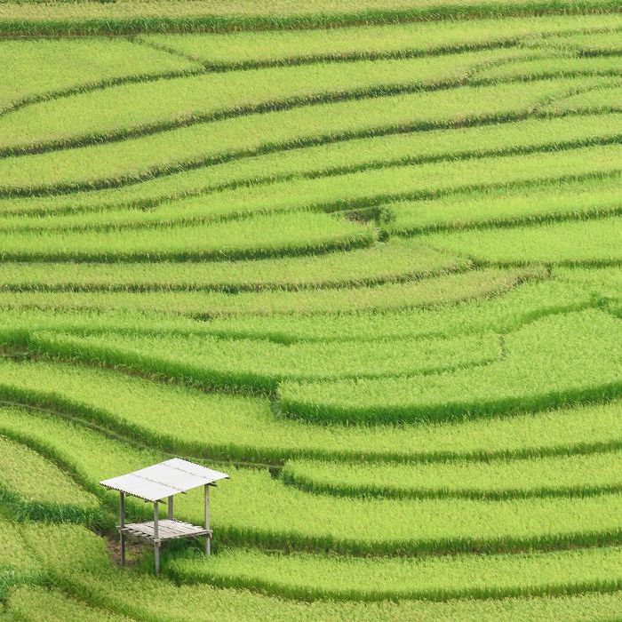 世界上最美的地方